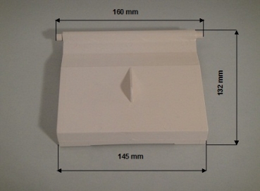 Skimmerklappe Hayward 1090